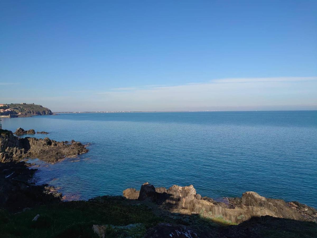 4Rb4 Appartement Type T2 Bord De Mer Acces Plage Direct Collioure Exterior foto